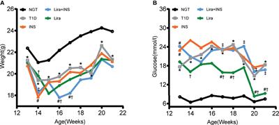 Liraglutide Inhibits Osteoclastogenesis and Improves Bone Loss by Downregulating Trem2 in Female Type 1 Diabetic Mice: Findings From Transcriptomics